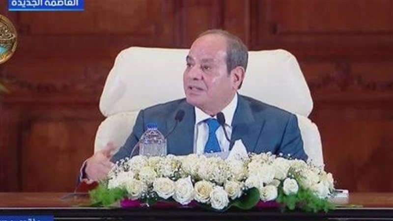الشارع المصري